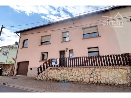 vente maison 7 pièces 200 m² alsting (57515)