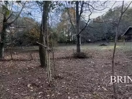 vente terrain à châteaubriant (44110) : à vendre / 3979m² châteaubriant