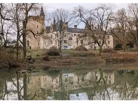château de cornusse domaine patrimonial à fort potentiel