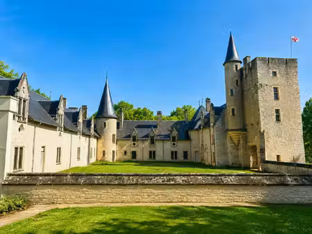 château de cornusse – domaine patrimonial de 12 5 ha – berr