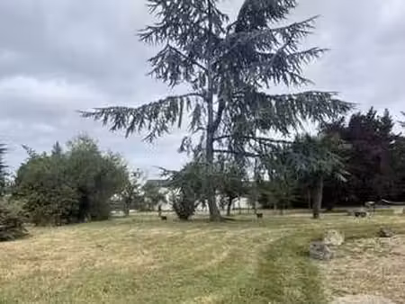 vente terrain à loireauxence (44370) : à vendre / 432m² loireauxence