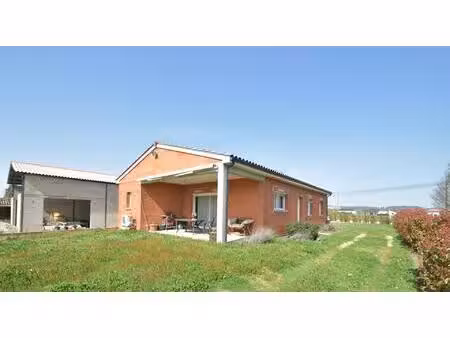 a vendre maison proche negrepelisse