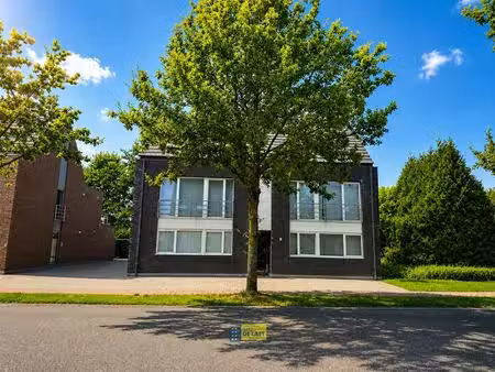 appartement te huur in brecht