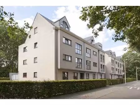appartement te huur in lier met 2 slaapkamers