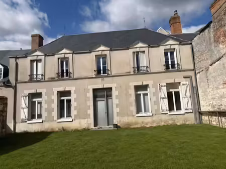 vente locaux professionnels 506 m² à romorantin-lanthenay (41200)  319 000 €