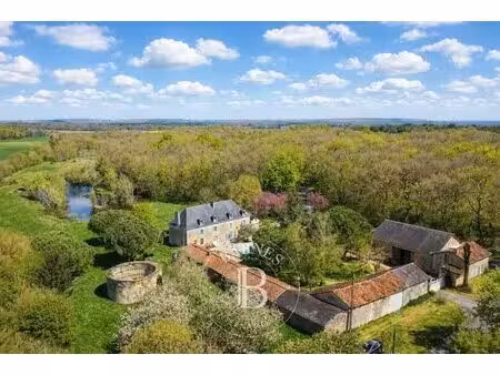 vienne - belle propriété de campagne rénovée - terrain d'environ 4 hectares avec piscine