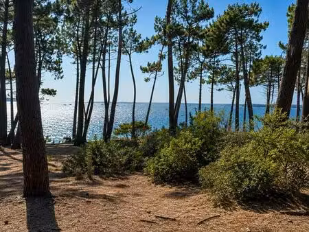 terrain de 1385 m2 - arcachon  france
