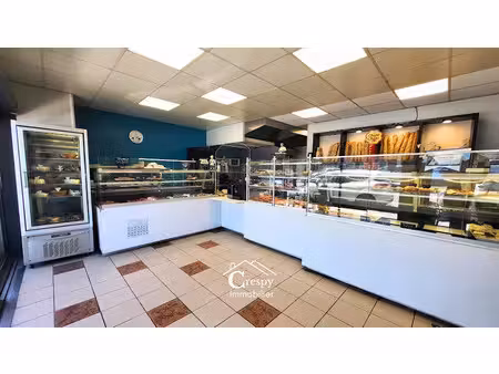 vente locaux professionnels 100 m² à revel (31250)  162 000 €