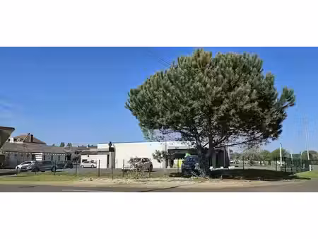 vente locaux professionnels 262 m² à gabarret (40310)  291 000 €