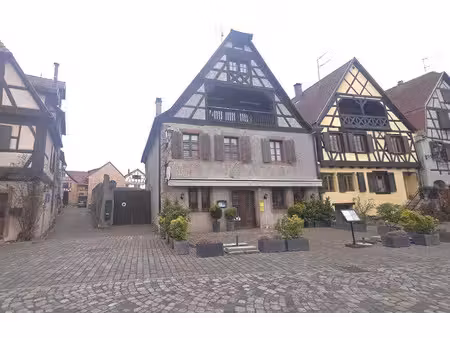 vente locaux professionnels 4 pièces 98 m² à bergheim (68750)  366 000 €