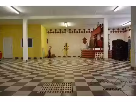 vente locaux professionnels 5 pièces 423 m² à chavot-courcourt (51530)  470 000 €