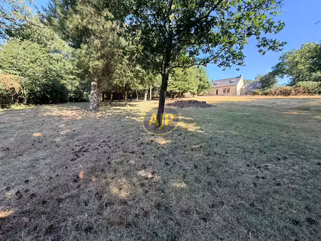 vente maison 5 pièces 70 m² guémené-penfao (44290)