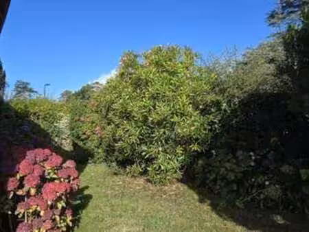 vente maison à carnac (56340) : à vendre / 120m² carnac