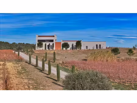propriété viticole à vendre à montpeyroux