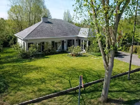 maison à vendre à tessenderlo € 545.000 (lqu9u) - engel & völkers noord-limburg | zimmo