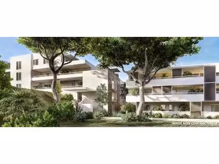 magnifique t3 - calvi