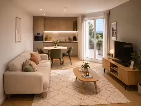 vente appartement 1 pièce 47 m² strasbourg (67200)