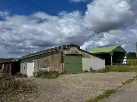 vente locaux professionnels 0 pièces 1000 m² à languidic (56440)  105 780 €