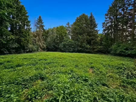 terrain à bâtir de ± 25 ares (2 lots possible )