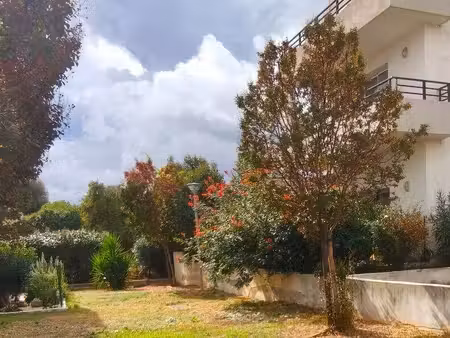 century 21 paoli immobilier