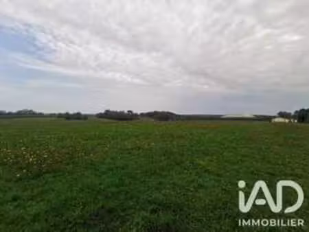vente terrain à saint-aigulin (17360) : à vendre / 2516m² saint-aigulin