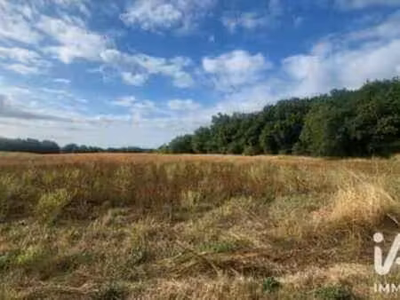 vente terrain à vacquiers (31340) : à vendre / 120000m² vacquiers