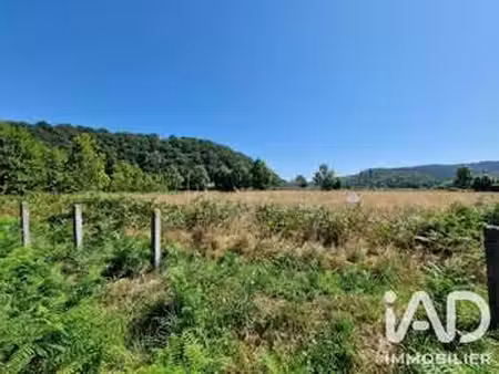 vente terrain à montaut (64800) : à vendre / 1050m² montaut