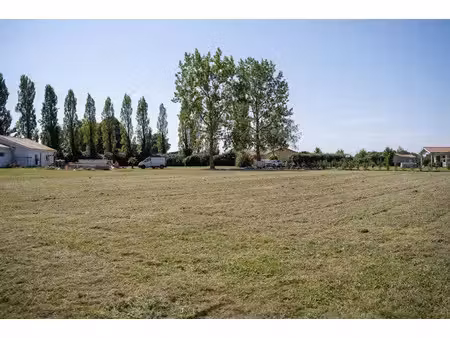 vente terrain 1500 m² à latrille (40800)  60 000 €