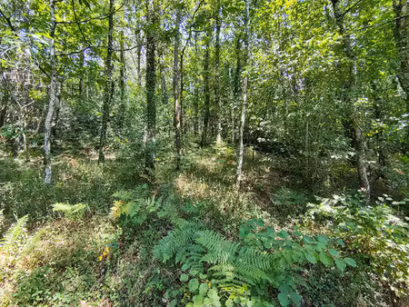 terrain boisé - pluherlin - au coeur de la campagne - 2260 m2