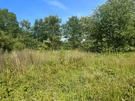 vente terrain 1055 m² à fressenneville (80390)  56 000 €