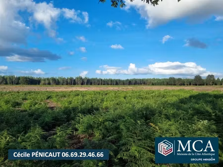 vente terrain 672 m² à laluque (40465)  57 120 €