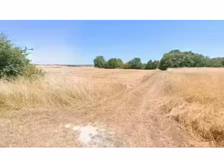 vente terrain 800 m² à laruscade (33620)  60 000 €