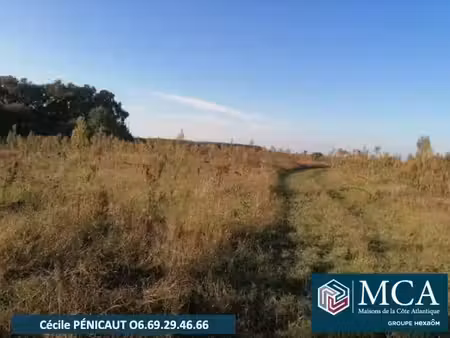 vente terrain 600 m² à préchacq-les-bains (40465)  67 900 €