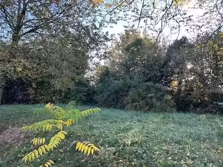 vente terrain 1400 m² à galgon (33133)  108 000 €
