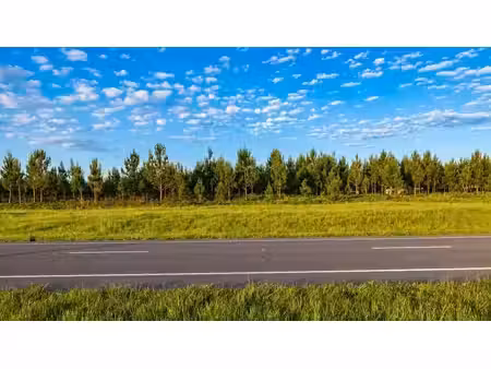 vente terrain 974 m² à linxe (40260)  140 256 €