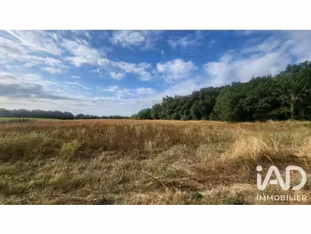 vente terrain 120000 m² à vacquiers (31340)  90 000 €