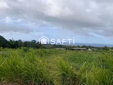 vente terrain à batir 10620 m² à basse pointe (97218)  490 000 €