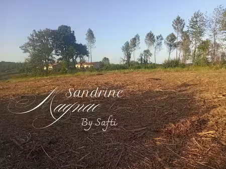 vente terrain à batir 6450 m² à sarlat-la-caneda (24200)  82 000 €