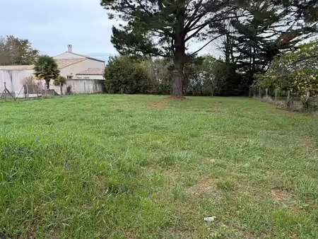 vente terrain 784 m² à saint-georges-d'oléron (17190)  153 000 €