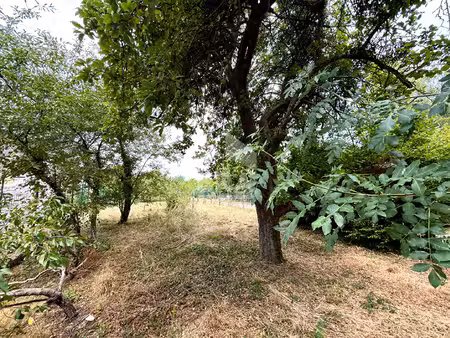 terrain grez-sur-loing 535 m2