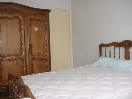 location meublée appartement 3 pièces 69 m² à lyon 8ème (69008)  1 110 €