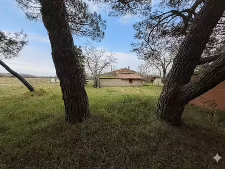 vente maison 2 pièces 61 m² muret (31600)