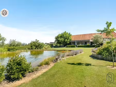 maison à vendre à orroir € 985.000 (lqv1h) - immo beguin ronse | zimmo