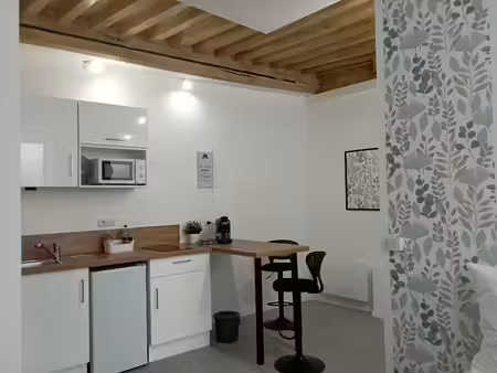 location meublée appartement 1 pièce 25 m² à roanne (42300)  400 €