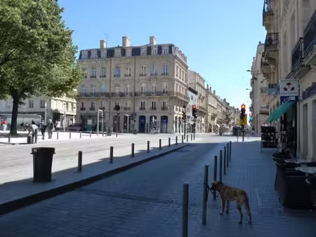 location appartement 2 pièces à bordeaux (33000)  645 €