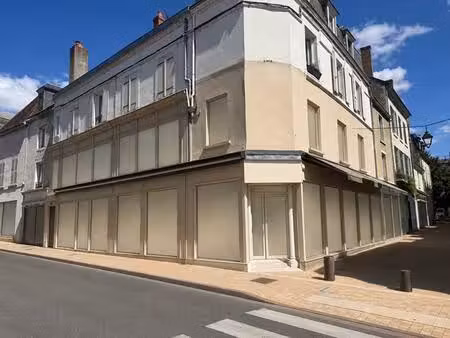 immeuble cosne cours sur loire 7 pièce(s) 310 m2