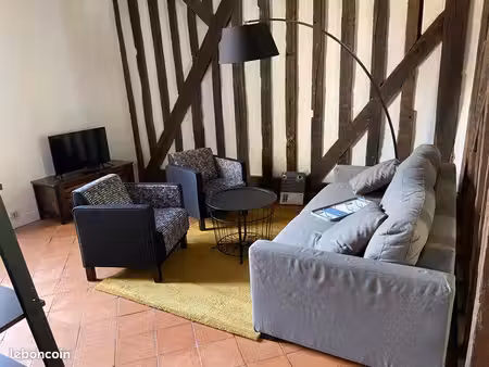 appartement lumineux vieux mans – 50 m2 - meublé