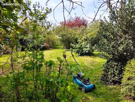 terrain arboré pour jardinage et loisirs