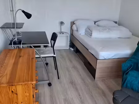 t1 bis meuble 33 m²