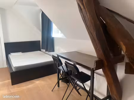 sans frais d’agence  studio meublé 21 m2 refait à neuf à louer plein centre